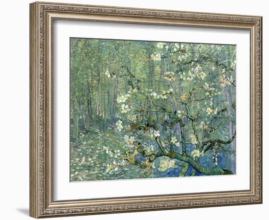 Collage Design with Painting Elements - Almond Branches in Bloom & Trees and Undergrowth-Elements of Vincent Van Gogh-Framed Art Print