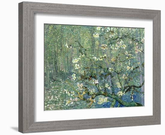 Collage Design with Painting Elements - Almond Branches in Bloom & Trees and Undergrowth-Elements of Vincent Van Gogh-Framed Art Print