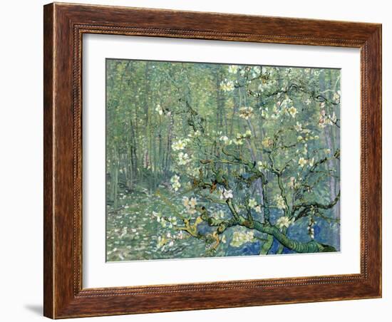 Collage Design with Painting Elements - Almond Branches in Bloom & Trees and Undergrowth-Elements of Vincent Van Gogh-Framed Art Print