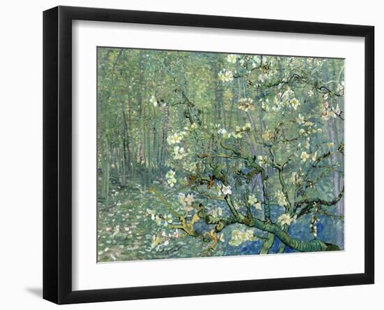 Collage Design with Painting Elements - Almond Branches in Bloom & Trees and Undergrowth-Elements of Vincent Van Gogh-Framed Art Print