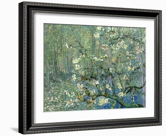 Collage Design with Painting Elements - Almond Branches in Bloom & Trees and Undergrowth-Elements of Vincent Van Gogh-Framed Art Print