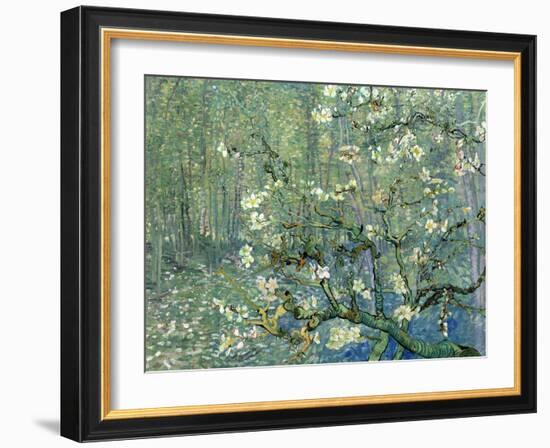 Collage Design with Painting Elements - Almond Branches in Bloom & Trees and Undergrowth-Elements of Vincent Van Gogh-Framed Art Print