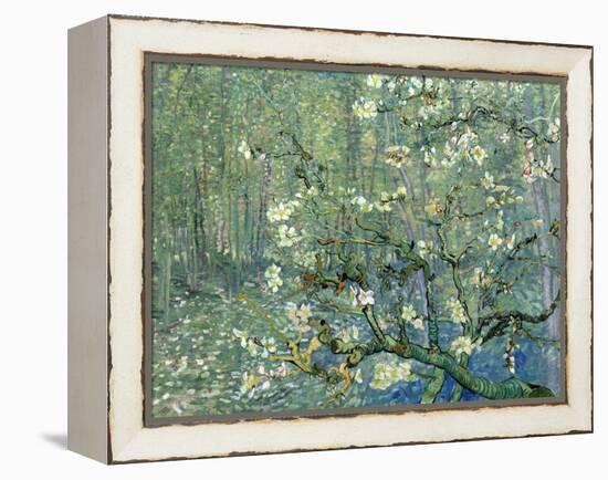 Collage Design with Painting Elements - Almond Branches in Bloom & Trees and Undergrowth-Elements of Vincent Van Gogh-Framed Stretched Canvas