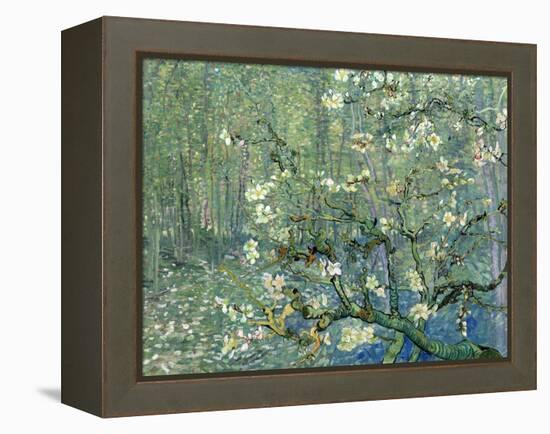 Collage Design with Painting Elements - Almond Branches in Bloom & Trees and Undergrowth-Elements of Vincent Van Gogh-Framed Stretched Canvas