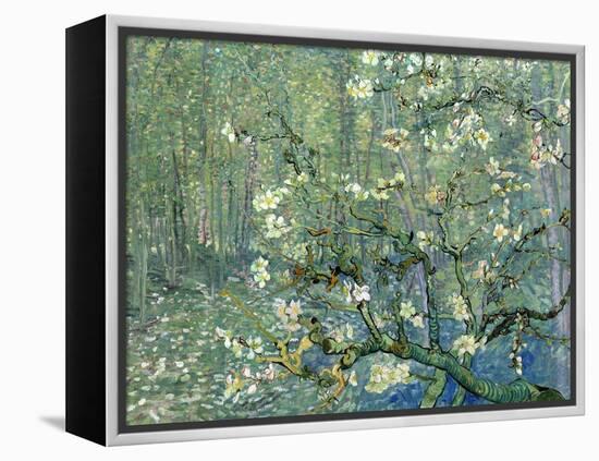 Collage Design with Painting Elements - Almond Branches in Bloom & Trees and Undergrowth-Elements of Vincent Van Gogh-Framed Stretched Canvas