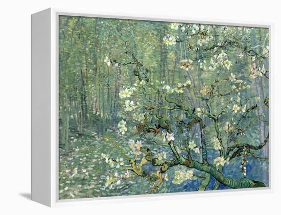 Collage Design with Painting Elements - Almond Branches in Bloom & Trees and Undergrowth-Elements of Vincent Van Gogh-Framed Stretched Canvas