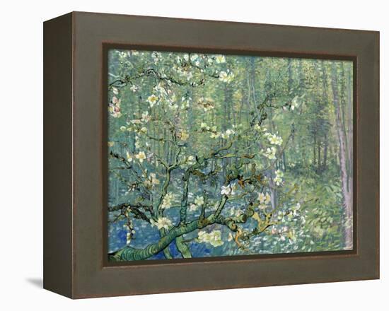 Collage Design with Painting Elements - Almond Branches in Bloom & Trees and Undergrowth-Elements of Vincent Van Gogh-Framed Stretched Canvas