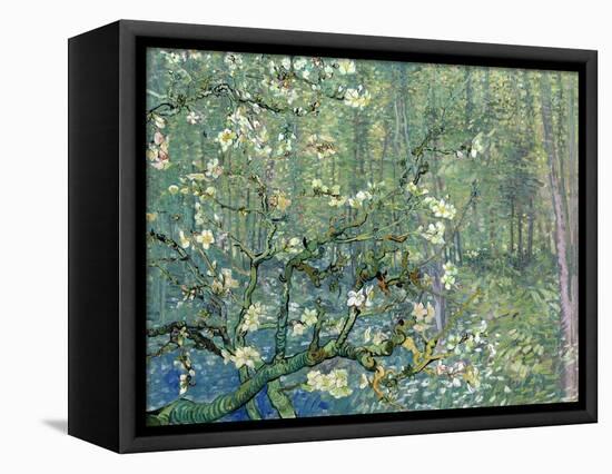 Collage Design with Painting Elements - Almond Branches in Bloom & Trees and Undergrowth-Elements of Vincent Van Gogh-Framed Stretched Canvas