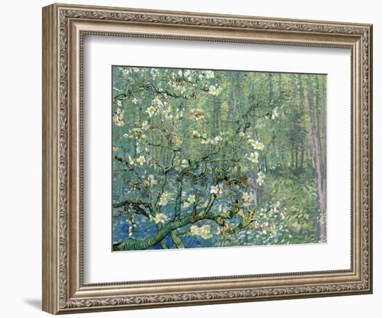 Collage Design with Painting Elements - Almond Branches in Bloom & Trees and Undergrowth-Elements of Vincent Van Gogh-Framed Premium Giclee Print