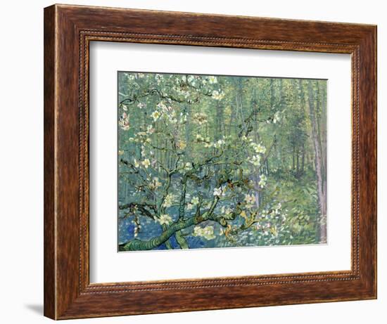 Collage Design with Painting Elements - Almond Branches in Bloom & Trees and Undergrowth-Elements of Vincent Van Gogh-Framed Premium Giclee Print