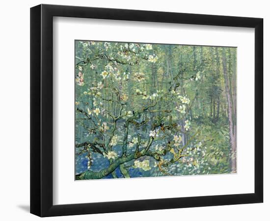 Collage Design with Painting Elements - Almond Branches in Bloom & Trees and Undergrowth-Elements of Vincent Van Gogh-Framed Premium Giclee Print