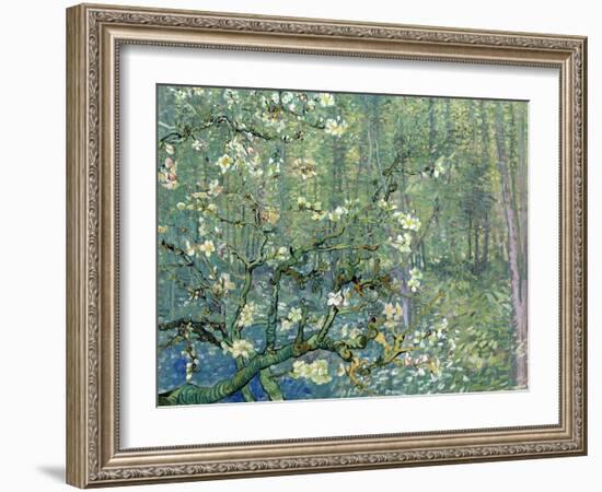 Collage Design with Painting Elements - Almond Branches in Bloom & Trees and Undergrowth-Elements of Vincent Van Gogh-Framed Art Print