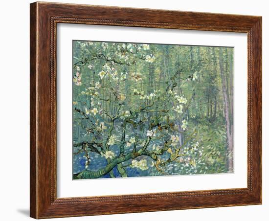 Collage Design with Painting Elements - Almond Branches in Bloom & Trees and Undergrowth-Elements of Vincent Van Gogh-Framed Art Print