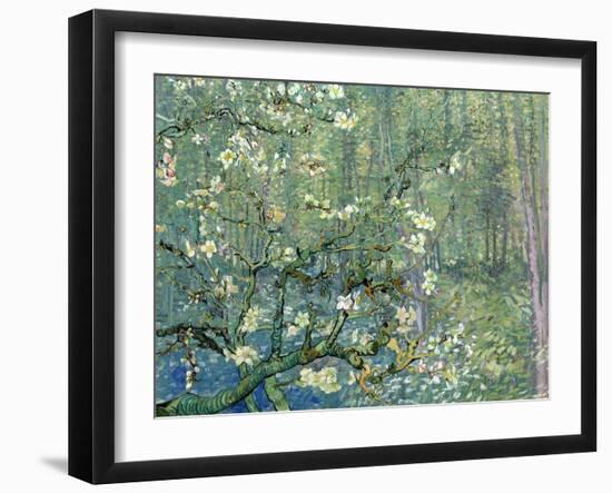 Collage Design with Painting Elements - Almond Branches in Bloom & Trees and Undergrowth-Elements of Vincent Van Gogh-Framed Art Print