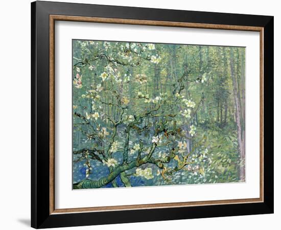 Collage Design with Painting Elements - Almond Branches in Bloom & Trees and Undergrowth-Elements of Vincent Van Gogh-Framed Art Print