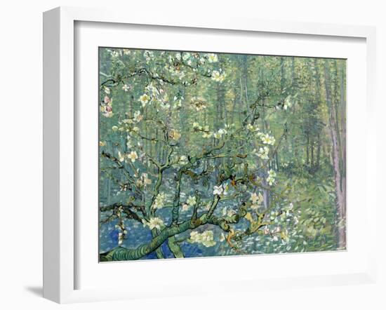 Collage Design with Painting Elements - Almond Branches in Bloom & Trees and Undergrowth-Elements of Vincent Van Gogh-Framed Art Print