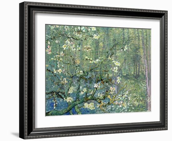 Collage Design with Painting Elements - Almond Branches in Bloom & Trees and Undergrowth-Elements of Vincent Van Gogh-Framed Art Print