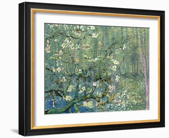 Collage Design with Painting Elements - Almond Branches in Bloom & Trees and Undergrowth-Elements of Vincent Van Gogh-Framed Art Print