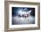 Collage from Hockey Players in Action-Eugene Onischenko-Framed Photographic Print