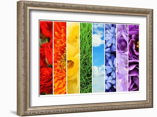 Collage of Beautiful Flowers, Grass and Sky-Yastremska-Framed Photographic Print