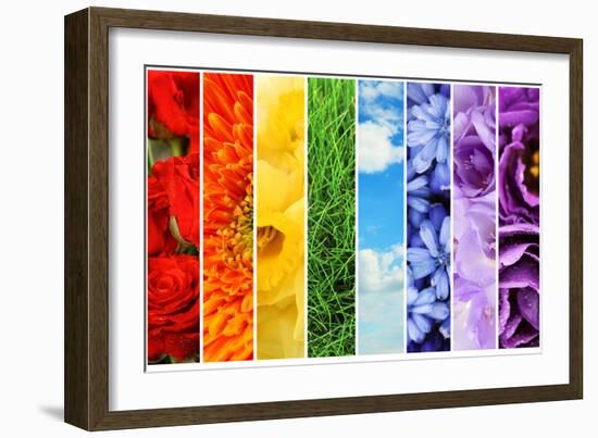 Collage of Beautiful Flowers, Grass and Sky-Yastremska-Framed Photographic Print