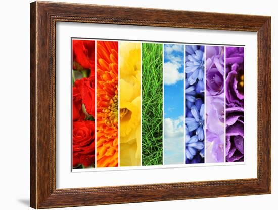 Collage of Beautiful Flowers, Grass and Sky-Yastremska-Framed Photographic Print