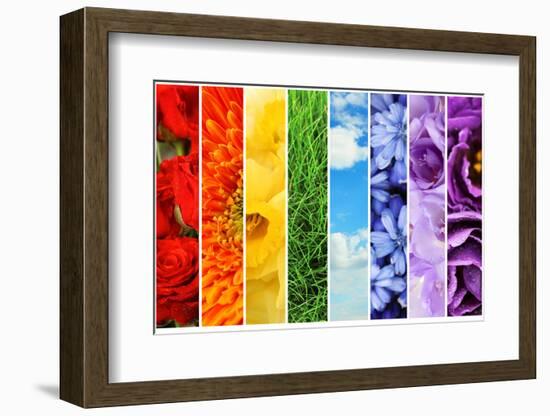 Collage of Beautiful Flowers, Grass and Sky-Yastremska-Framed Photographic Print