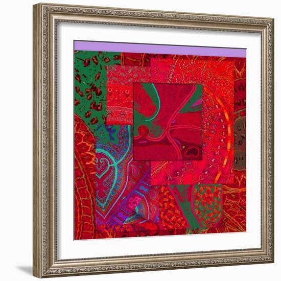 COLLAGE OF COLOR-Linda Arthurs-Framed Giclee Print