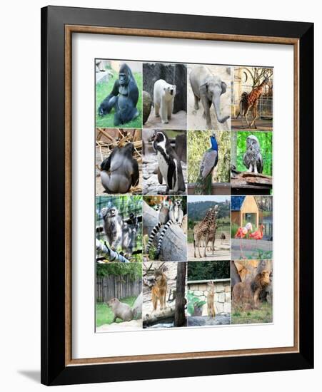Collage Of Different Animals-LeniKovaleva-Framed Art Print