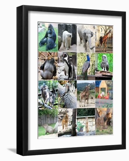 Collage Of Different Animals-LeniKovaleva-Framed Art Print