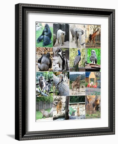 Collage Of Different Animals-LeniKovaleva-Framed Art Print