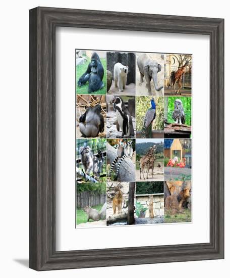 Collage Of Different Animals-LeniKovaleva-Framed Art Print