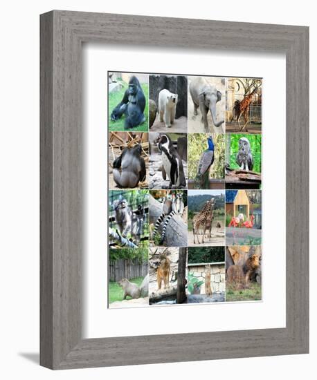 Collage Of Different Animals-LeniKovaleva-Framed Art Print