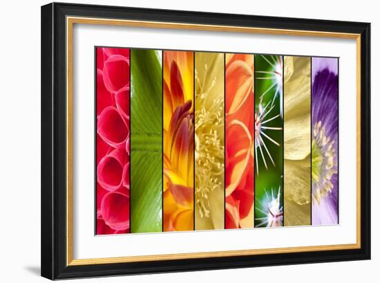 Collage of Flowers in Stripes-YellowPaul-Framed Art Print