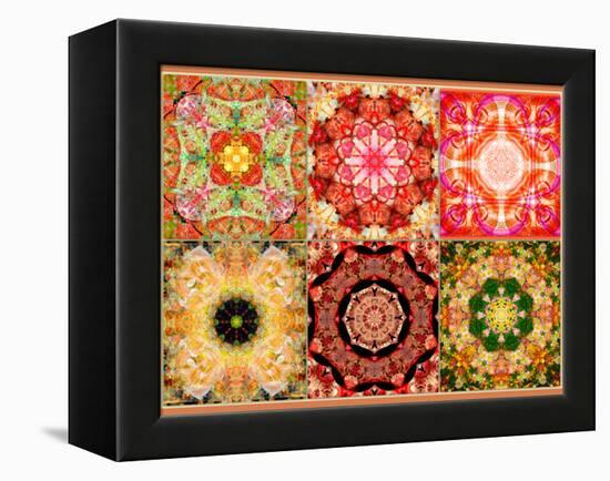 Collage of Flowers Mandalas, Composing-Alaya Gadeh-Framed Premier Image Canvas
