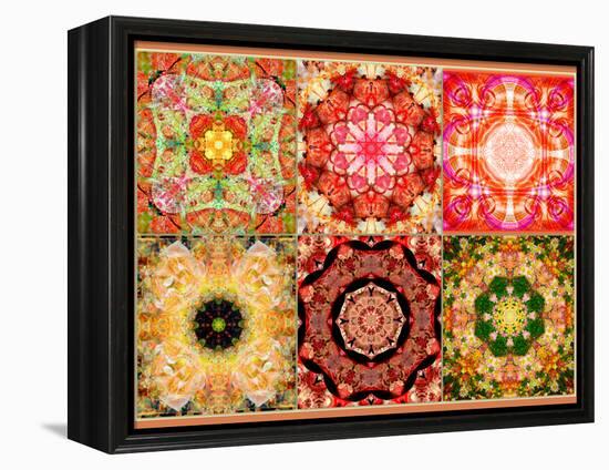 Collage of Flowers Mandalas, Composing-Alaya Gadeh-Framed Premier Image Canvas
