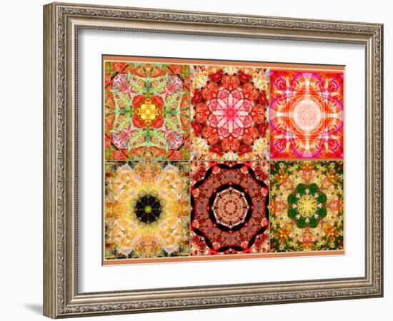 Collage of Flowers Mandalas, Composing-Alaya Gadeh-Framed Photographic Print