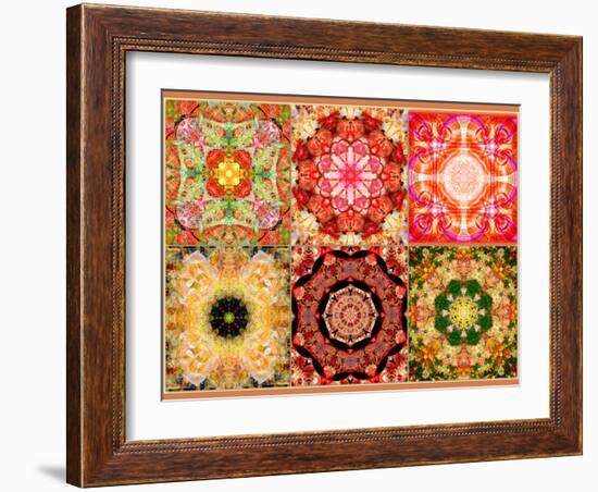 Collage of Flowers Mandalas, Composing-Alaya Gadeh-Framed Photographic Print