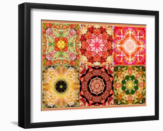 Collage of Flowers Mandalas, Composing-Alaya Gadeh-Framed Photographic Print