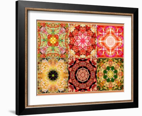 Collage of Flowers Mandalas, Composing-Alaya Gadeh-Framed Photographic Print