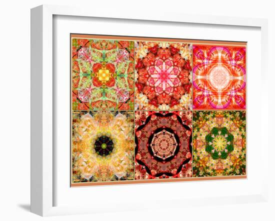 Collage of Flowers Mandalas, Composing-Alaya Gadeh-Framed Photographic Print