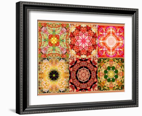 Collage of Flowers Mandalas, Composing-Alaya Gadeh-Framed Photographic Print