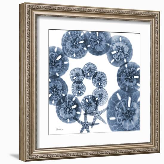 Collage of Sand Dollars and Starfish-Albert Koetsier-Framed Art Print