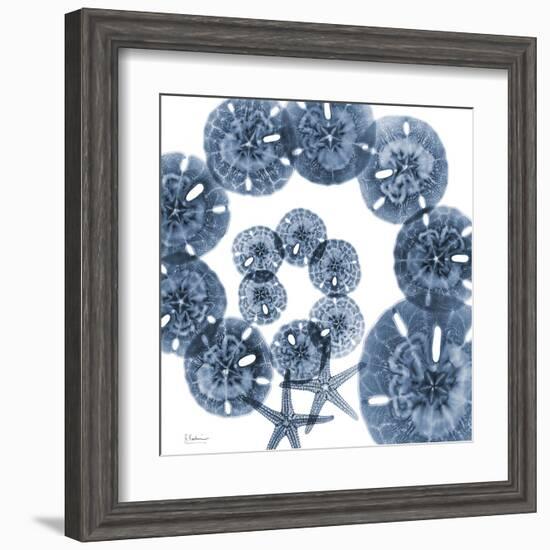 Collage of Sand Dollars and Starfish-Albert Koetsier-Framed Art Print