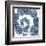 Collage of Sand Dollars and Starfish-Albert Koetsier-Framed Art Print