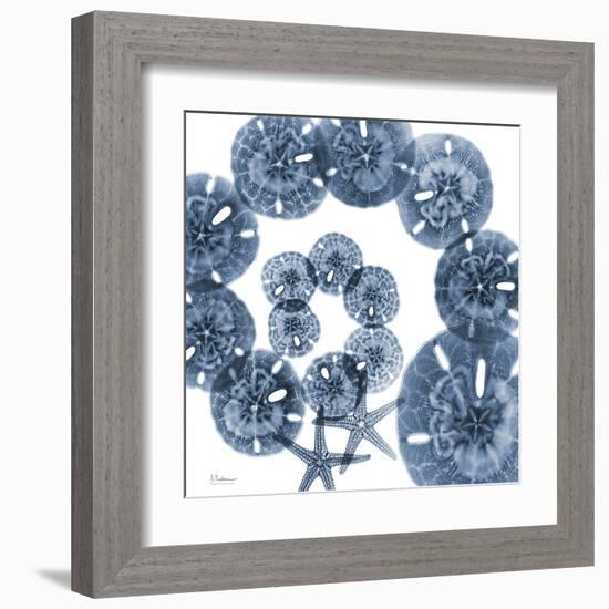 Collage of Sand Dollars and Starfish-Albert Koetsier-Framed Art Print