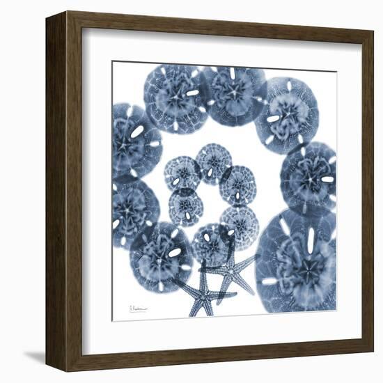 Collage of Sand Dollars and Starfish-Albert Koetsier-Framed Art Print