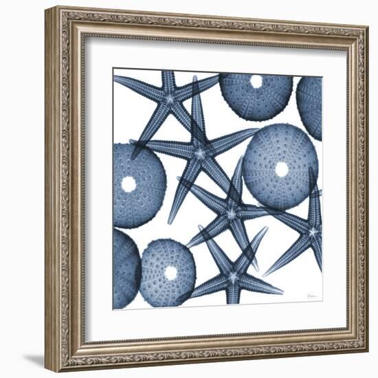 Collage of Starfish and Sea Urchins-Albert Koetsier-Framed Art Print