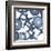 Collage of Starfish and Sea Urchins-Albert Koetsier-Framed Art Print