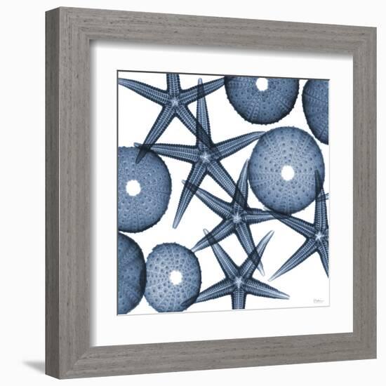 Collage of Starfish and Sea Urchins-Albert Koetsier-Framed Art Print